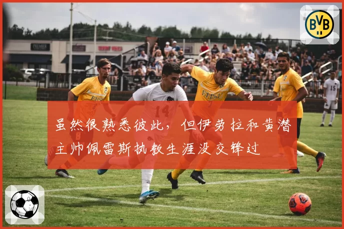 虽然很熟悉彼此，但伊劳拉和黄潜主帅佩雷斯执教生涯没交锋过