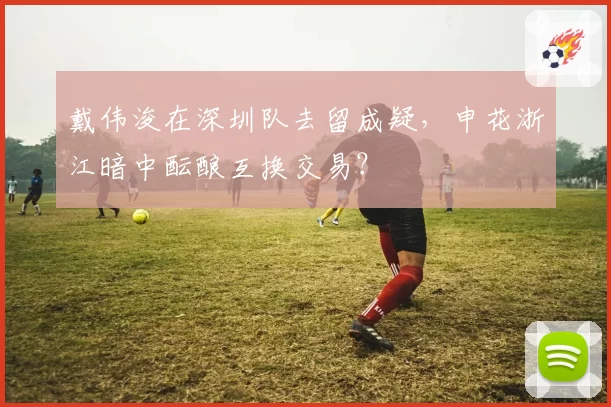 戴伟浚在深圳队去留成疑,申花浙江暗中酝酿互换交易?